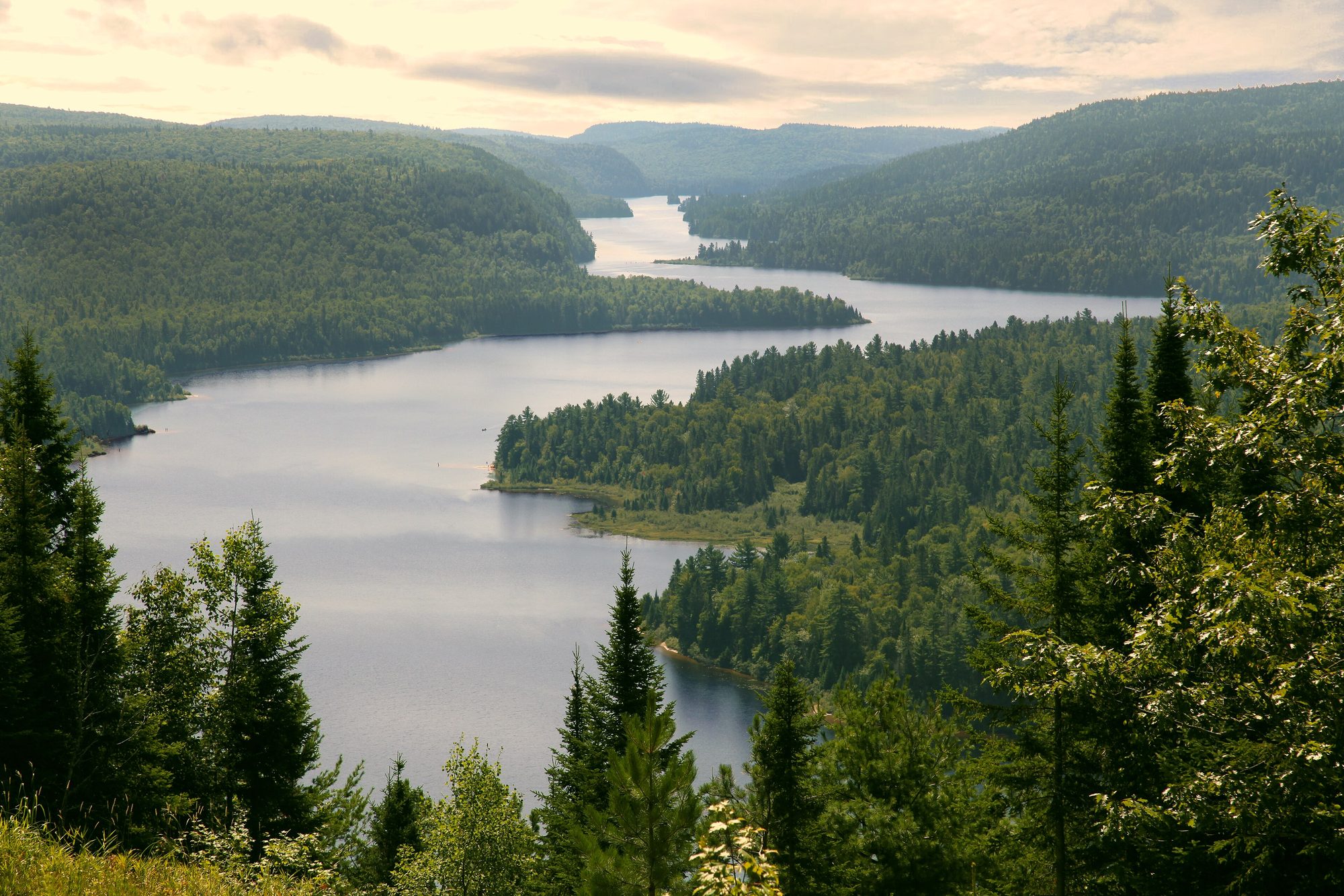 Lac Wapizagonke et forêt boréale, parc national de la Mauricie, Québec
