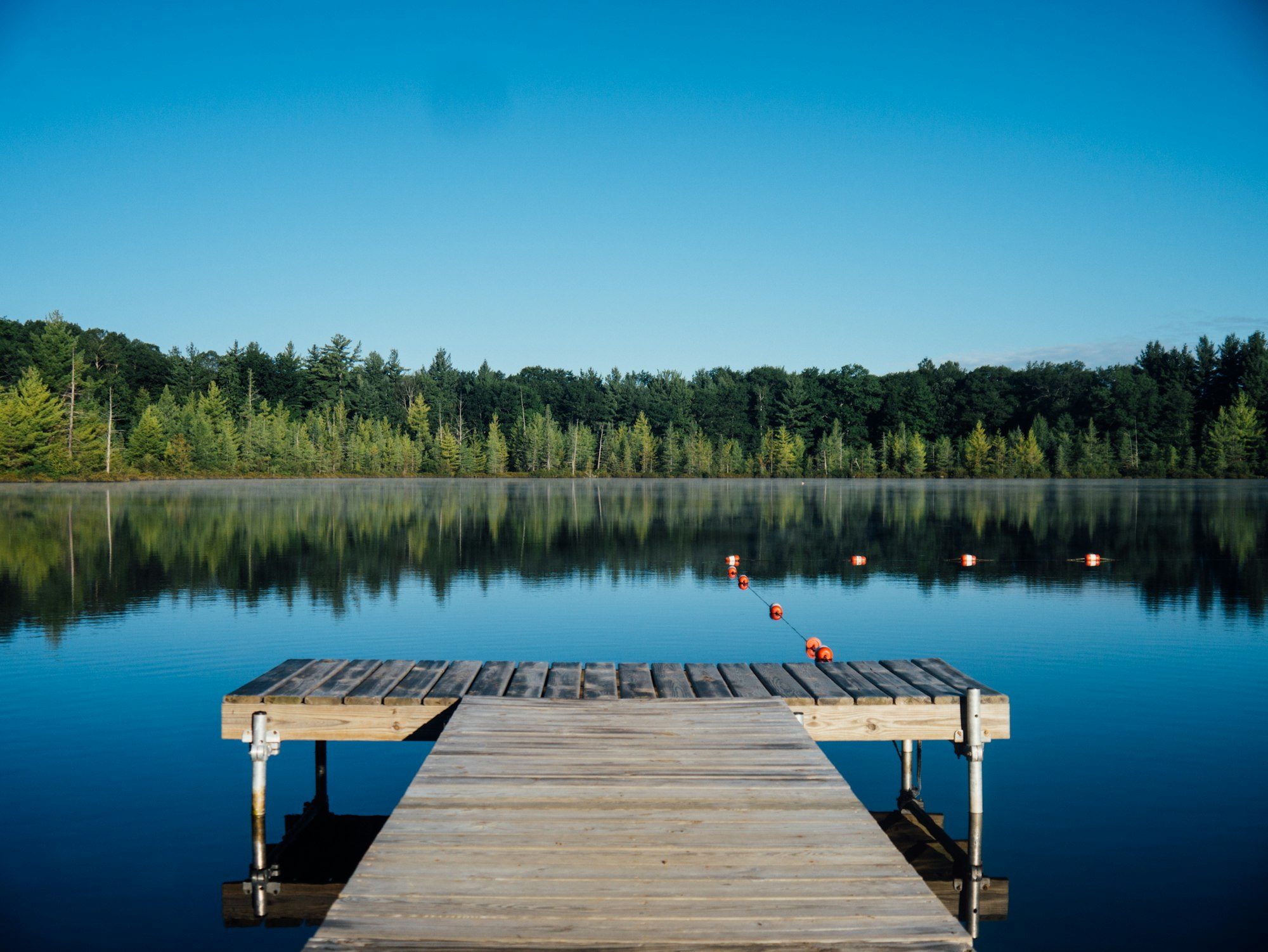 Quai de bois sur un lac calme, en lisière de forêt